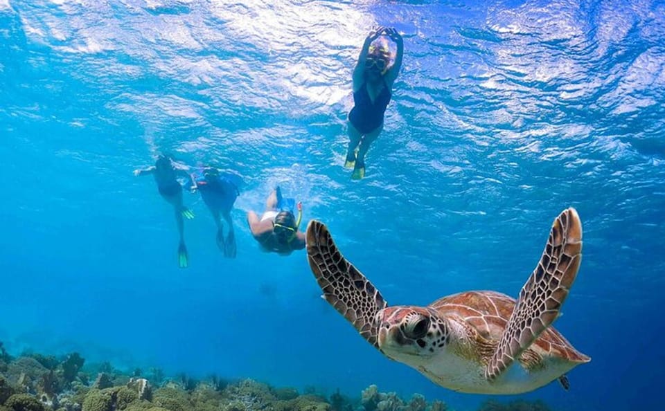 Snorkeling Adventure at Abu Dabab from Hurghada