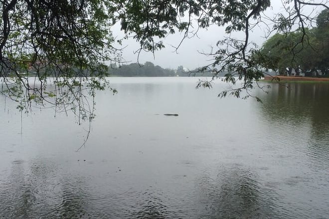 Wayamba Triangle Tour From Kandy 5