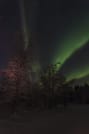 Northern Lights Workshop: Arctic Nature & Sky 10