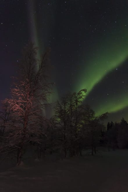 Northern Lights Workshop: Arctic Nature & Sky 10