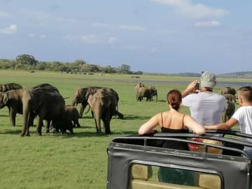 Sigiriya-n-ssafari-ffrom-trinco-3