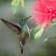 Bird Park
