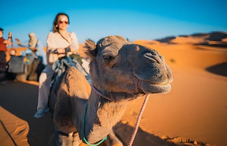 3 Days Morocco Desert Marzouga Tour from Marrakech To Fès