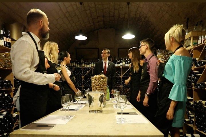 Incredible Loire castles tour with lunch and a vineyard visit