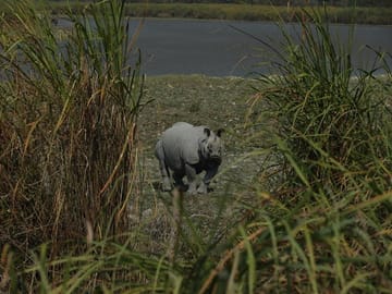 Wildlife and Cultural Tour of Dimapur and Guwahati