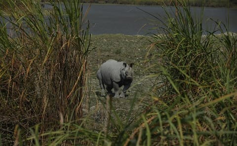 Wildlife and Cultural Tour of Dimapur and Guwahati