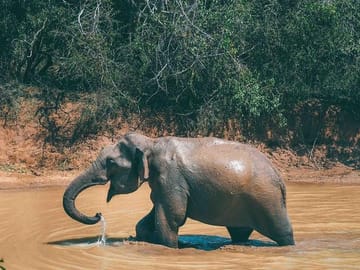 3 Days Honeymoon Glamping Tour