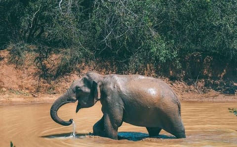 3 Days Honeymoon Glamping Tour