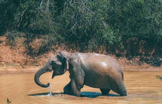 3 Days Honeymoon Glamping Tour