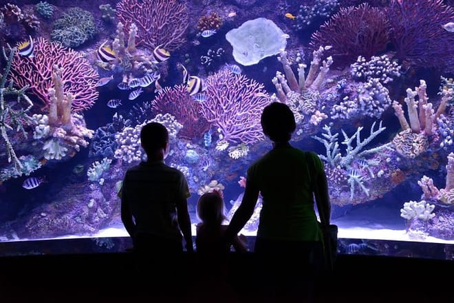Antalya: Aquarium, Wax Museum & Combo Package Options 4