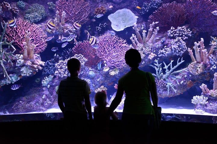 Antalya: Aquarium, Wax Museum & Combo Package Options 4