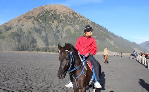 Borobudur and Mount Bromo 4-Day Cultural Adventure Tour
