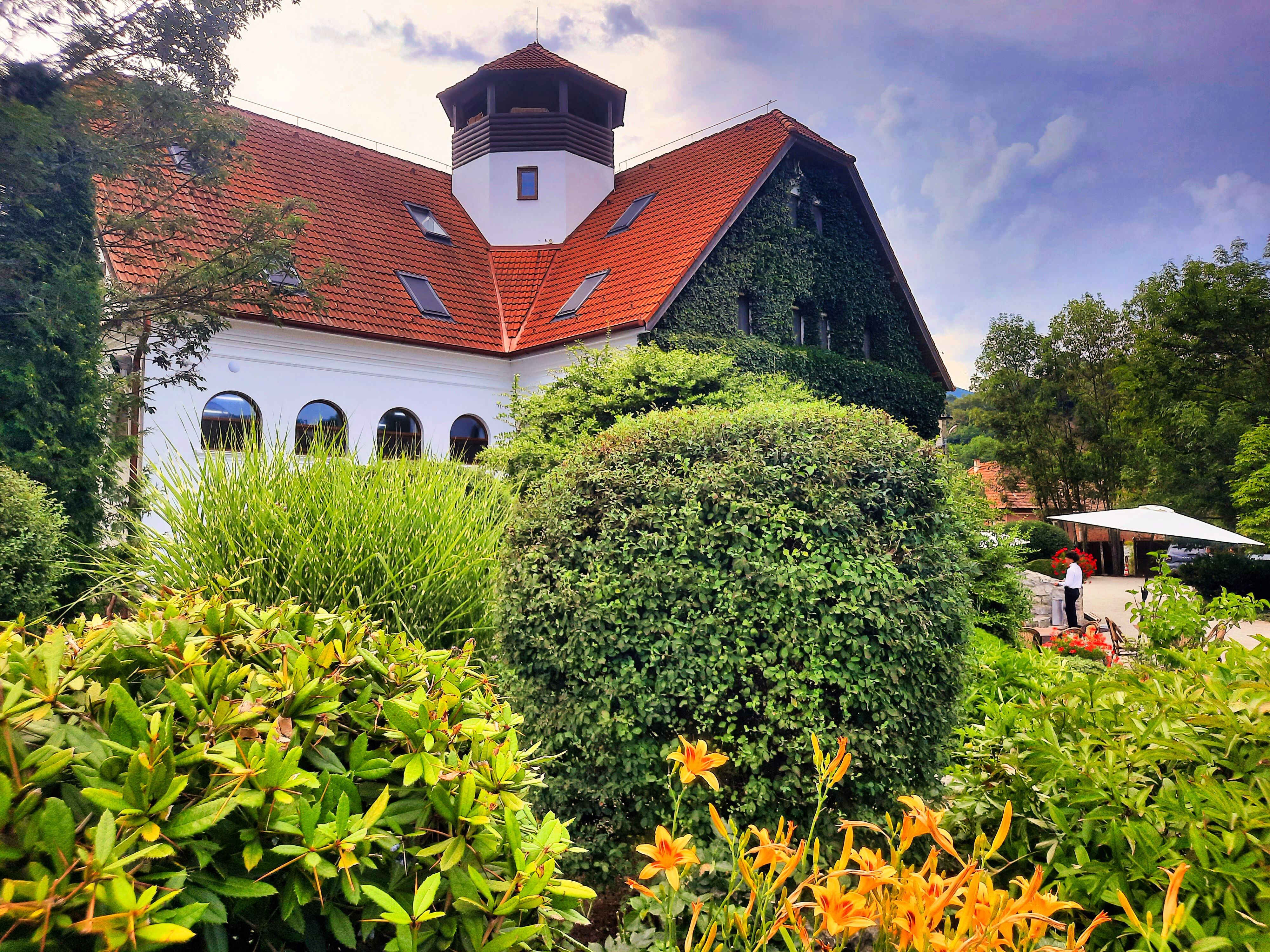 Evening Culinary Experience in Rimetea