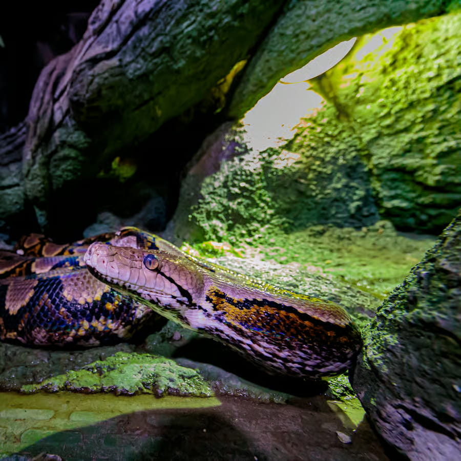 Abu Dhabi : The National Aquarium Aquatic Wonderland,
