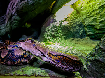 Explore Marine Life at The National Aquarium in Abu Dhabi