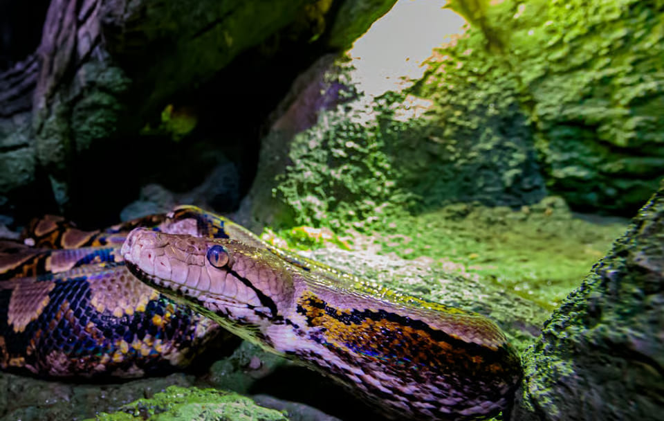 Explore Marine Life at The National Aquarium in Abu Dhabi