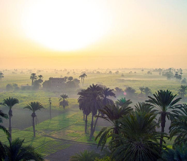 Hot Air Ballon Trip over Luxor West Bank 10