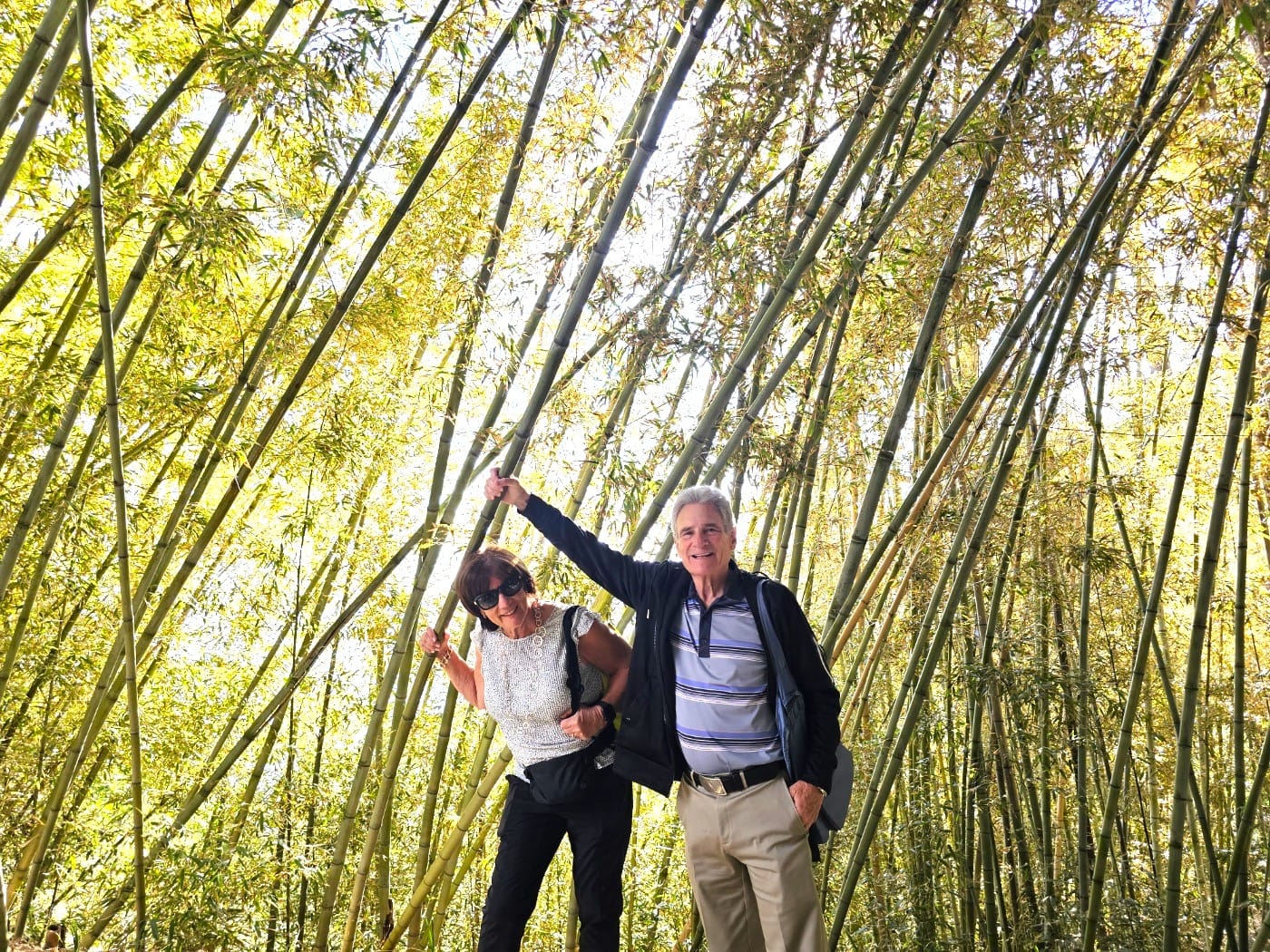Visitors walking through a scenic bamboo path in Haedong Yonggungsa Temple, surrounded by tall bamboo trees in Busan