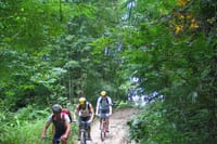 Full-Day Advanced XC Downhill Biking at Doi Suthep National Park Chiang Mai 7
