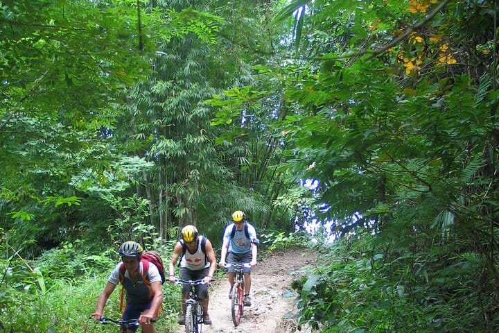 Full-Day Advanced XC Downhill Biking at Doi Suthep National Park Chiang Mai 7