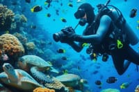 Diving And Snorkeling To Ras Mohamed And White Island By VIP Boat 9