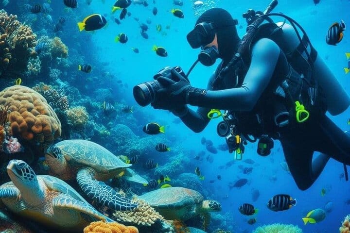 Diving And Snorkeling To Ras Mohamed And White Island By VIP Boat 9