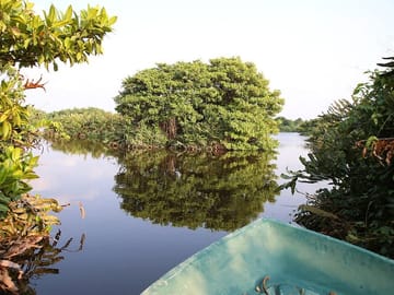 Bird Watching and Boat Trip at Muthurajawela Sanctuary, Sri Lanka