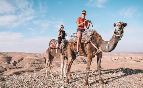Agafay Desert Quad Bike, Camel Ride & Dinner Show from Marrakech