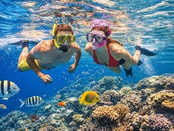 Tiran Island Snorkeling , Diving Cruise & Lunch – Sharm El Sheikh