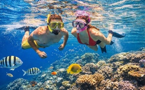 Tiran Island Snorkeling , Diving Cruise & Lunch – Sharm El Sheikh