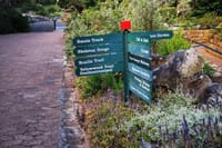 In Kirstenbosch Botanical Garden.