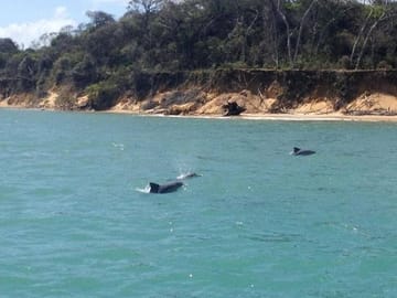 Sailing Tour of Guaraíras Lagoon in Tibau do Sul, Brazil