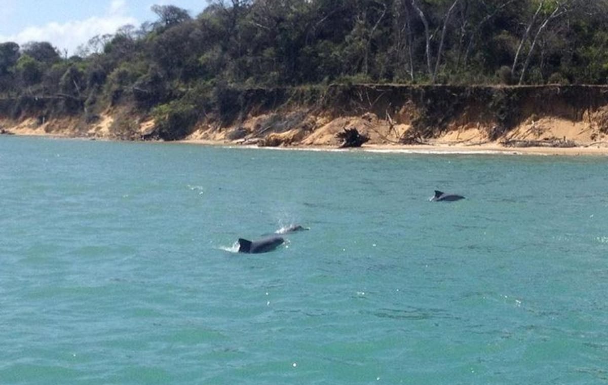 Solemio Schooner Ride In The Guaraíras Lagoon