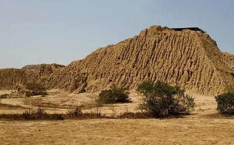 Tomb of the Lord of Sipan and Museum Tour in Chiclayo