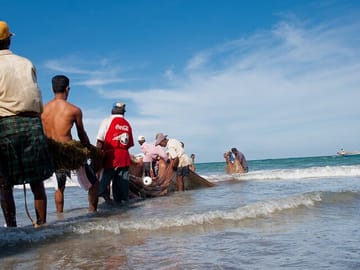 Fishermen in Negombo Beach