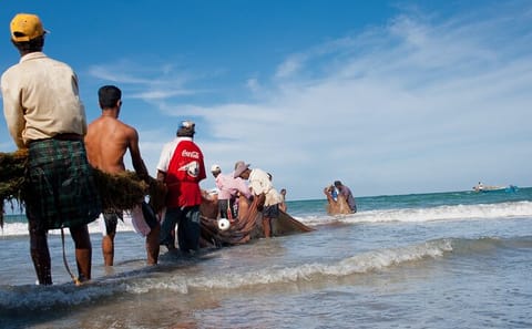 Beach Adventure Tour in Balapitiya, Bentota, and Colombo