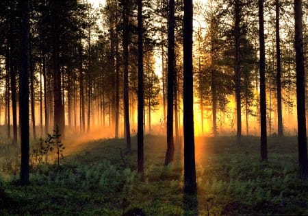 Trip to Korouoma Canyon - Rovaniemi photo 5