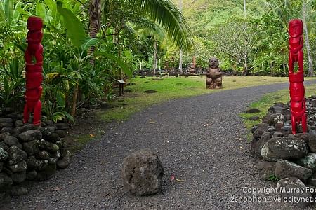 Tahiti Island Tour: Discover Waterfalls, Grottoes & Historical Landmarks