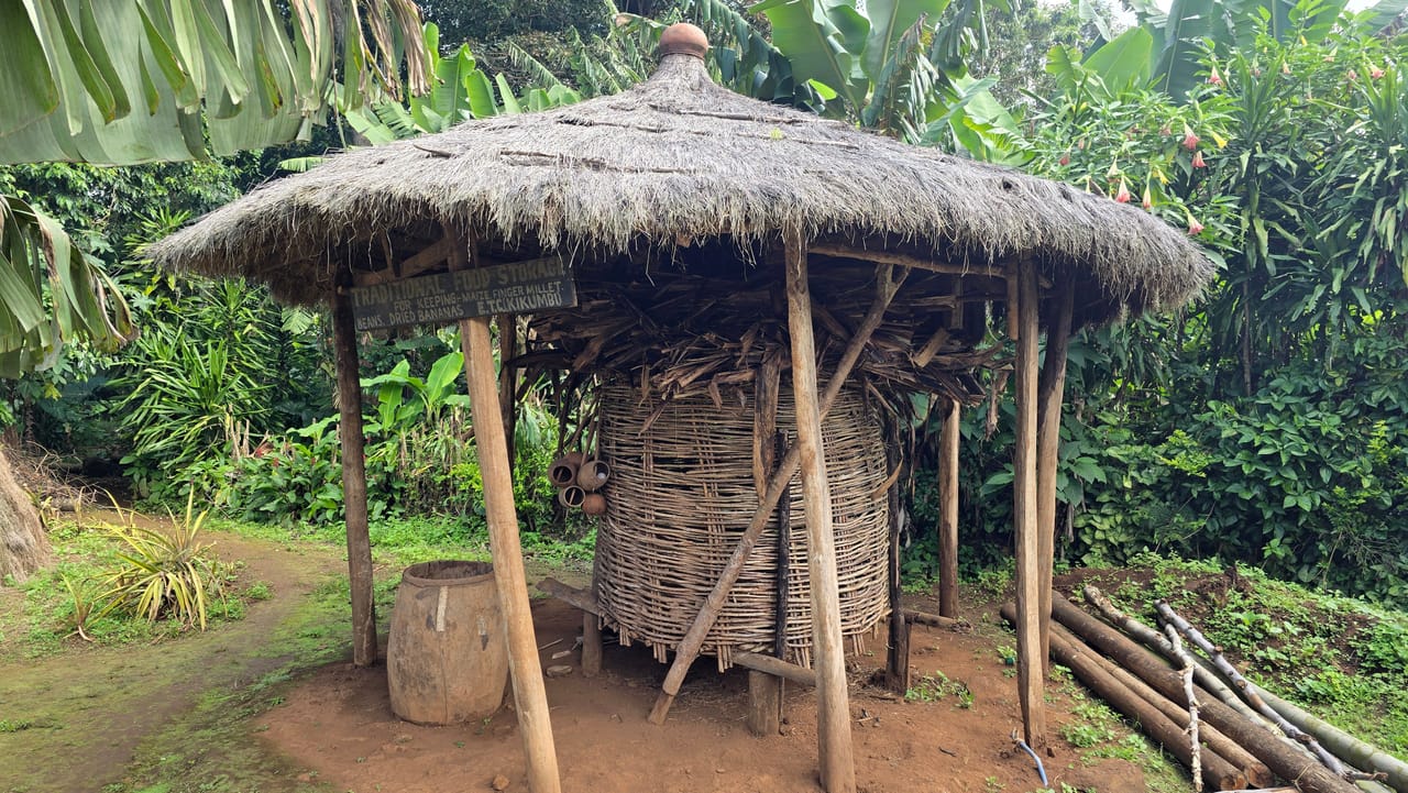 A woven wooden Chagga crop storage structure with a thatched roof used for preserving harvested food.