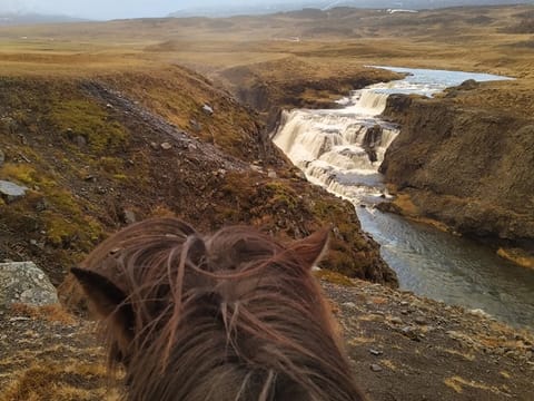 Chasing Waterfalls, photo 5