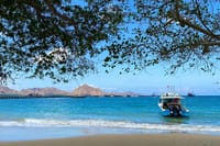 Small Group Komodo Fast Boat Tour with Padar Island & Pink Beach 5