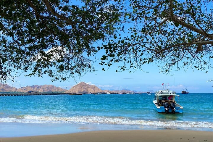 Small Group Komodo Fast Boat Tour with Padar Island & Pink Beach 5