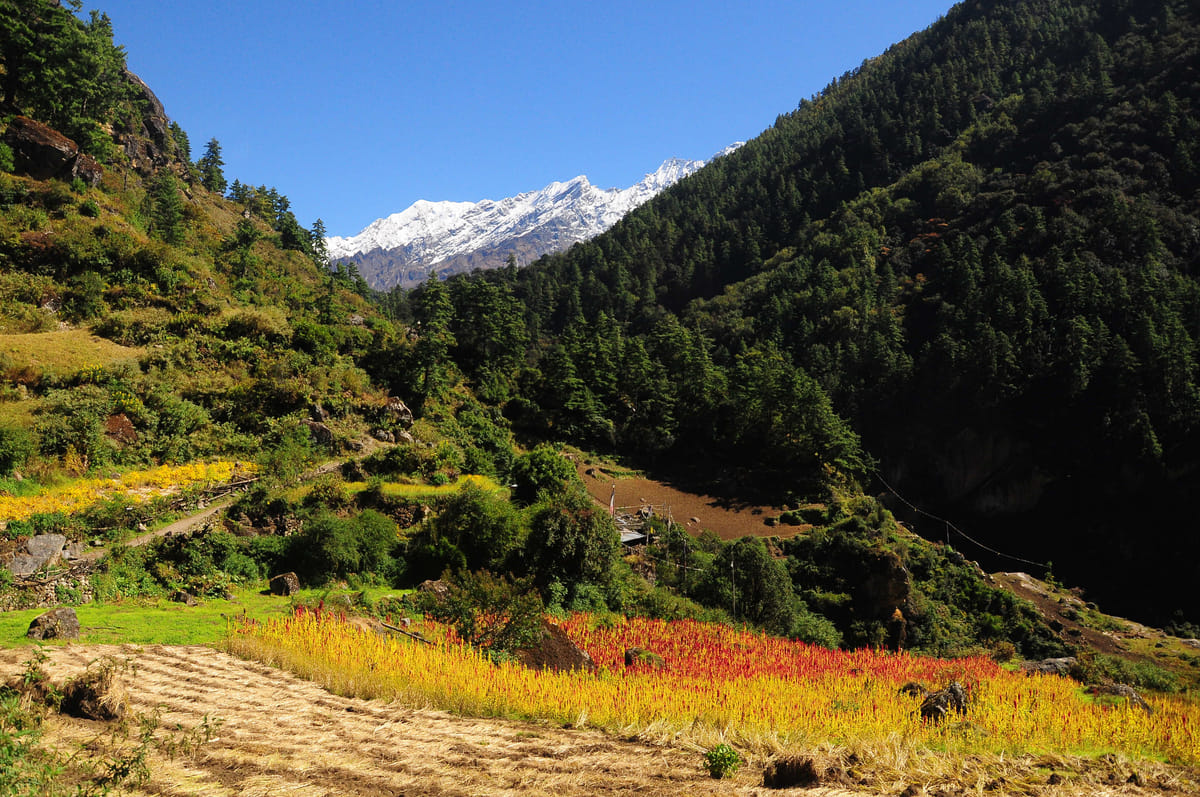 19 Days Mera Peak Climbing & Expedition – One Life-Changing Himalayan Adventure