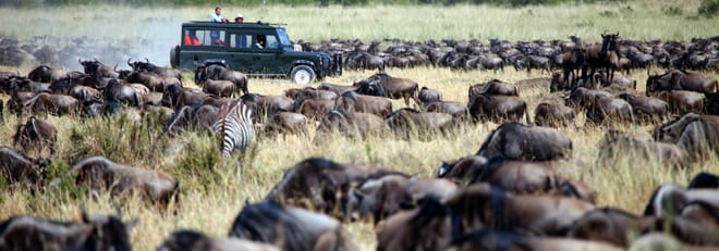 6Days Tanzania Tented Camping Safari : Serengeti, Lake Manyara,  Ngorongoro Crater &  Tarangire National Park 4