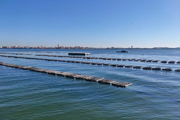 Chioggia : Aquaculture Secrets Tours of the Lagoon