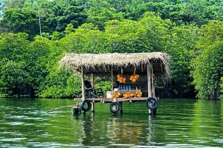 Shore excursions Colombo Port Passenger Terminal to Madu River Safari Balapitiya