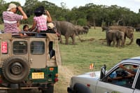 Sigiriya & Minneriya Safari Tour from Colombo 4