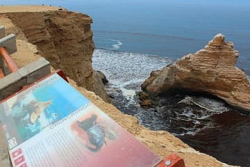 Three-Day Paracas and Ballestas Islands Tour Package