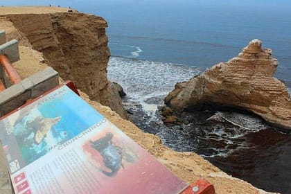 Paracas with Ballestas Islands Tour Package