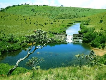 3days all inclusive Kandy nuwara eliya tour from Colombo